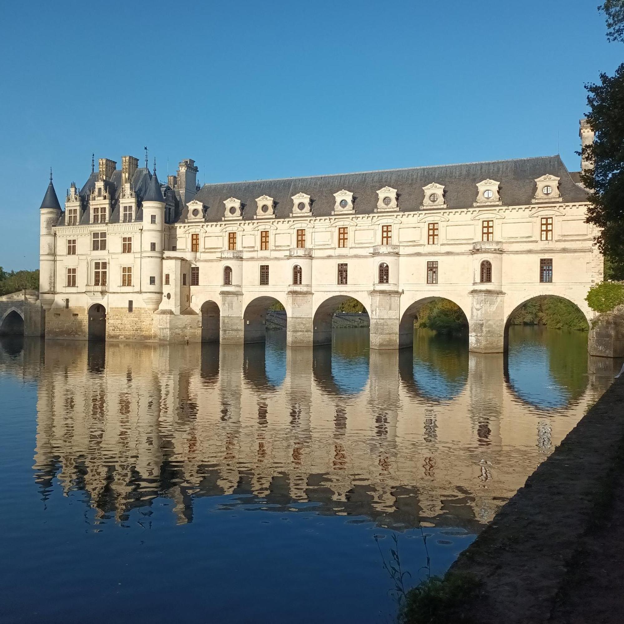 Au Nom Des Dames, Maison Et Table D'Hotes, Pres De Chenonceau Et Du Zoo De Beauval Faverolles-sur-Cher Eksteriør billede